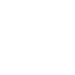 Core of Innovation Sustainability