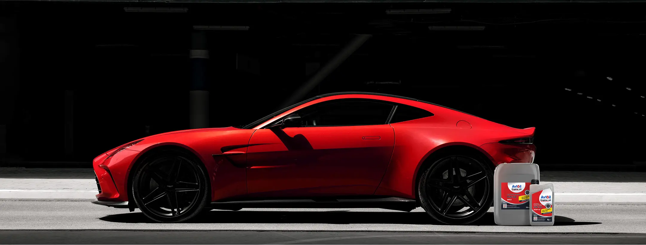 Decorative vector background